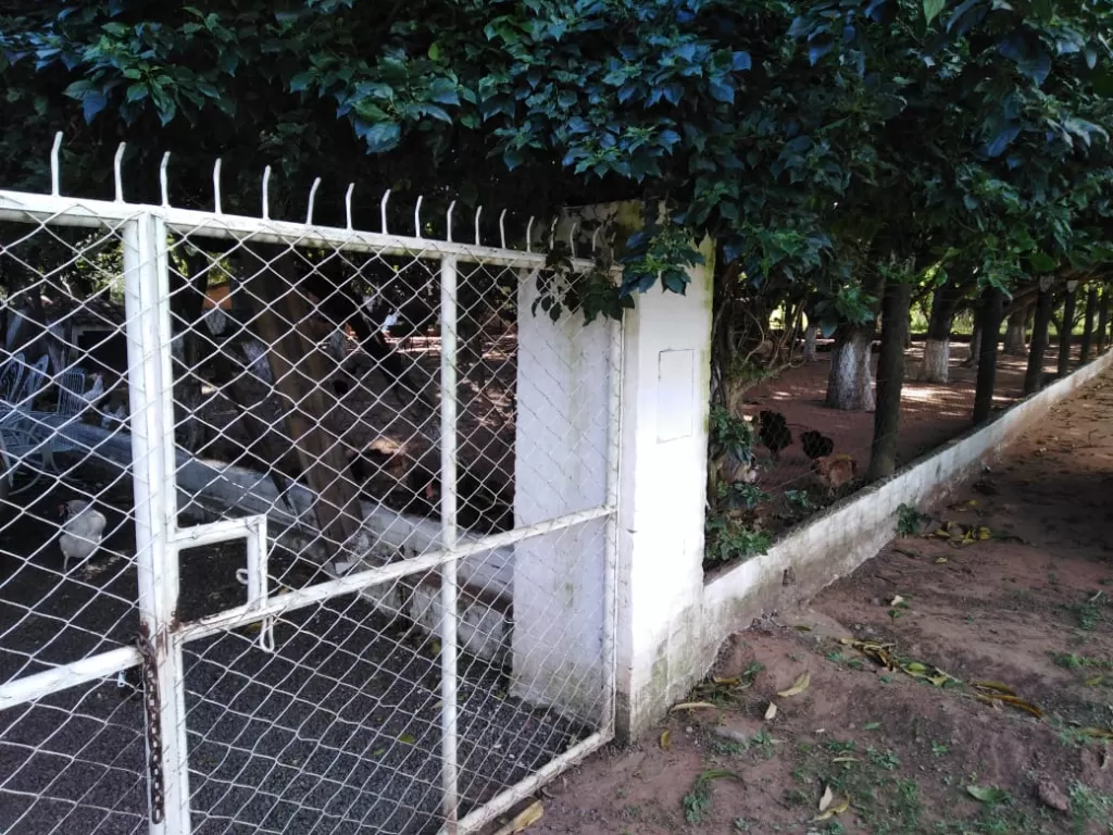 Propiedad para Granja en Venta en Yaguarón — foto 3
