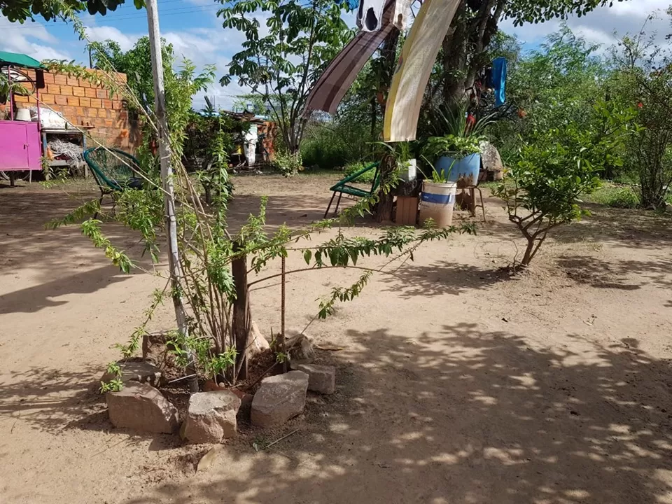 Anuncio 1423655 — foto 3