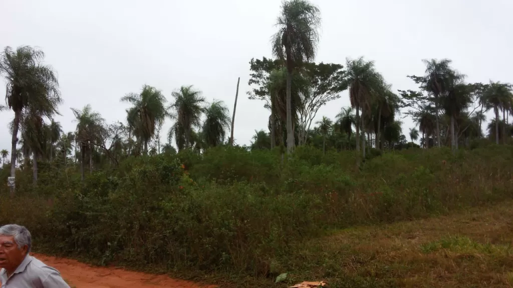 Oferto 9 Terrenos en Itagua — foto 3