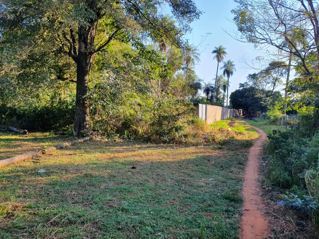 Vendo hermoso terreno en Mora Cué, a 100 mts de la ruta, detrás de la empresa Tapití. — foto 2