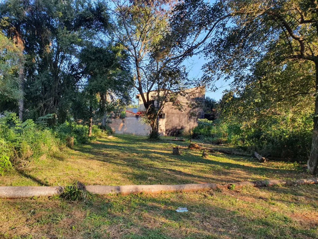 Vendo hermoso terreno en Mora Cué, a 100 mts de la ruta, detrás de la empresa Tapití. — foto 3