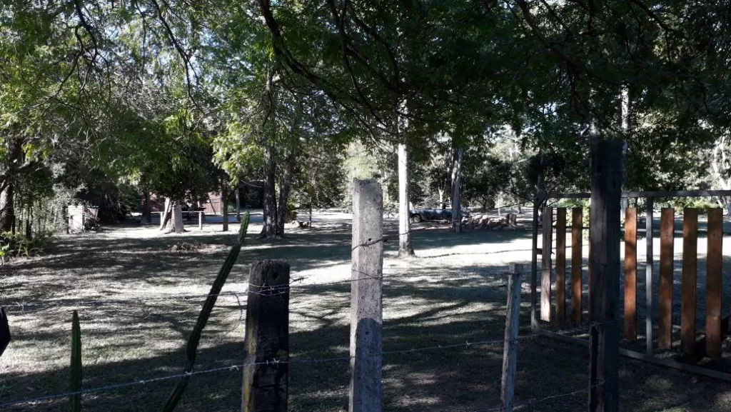 VENDO QUINTA 2 HAS - LUQUE — foto 3