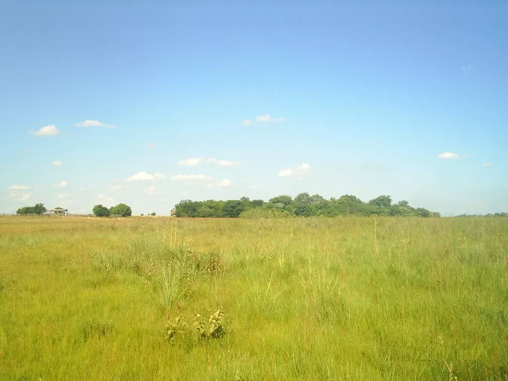 Vendo Estancia formada en Yabebyry. — foto 3
