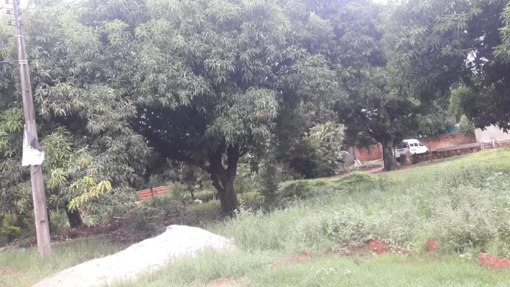 VENDO HERMOSO TERRENO EN MARIANO ROQUE ALONSO — foto 2