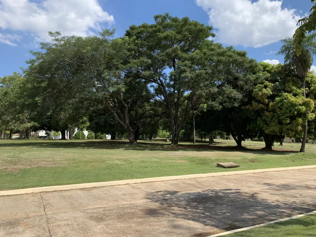 Vendo Terreno en barrio cerrado del Rakiura - Luque — foto 2