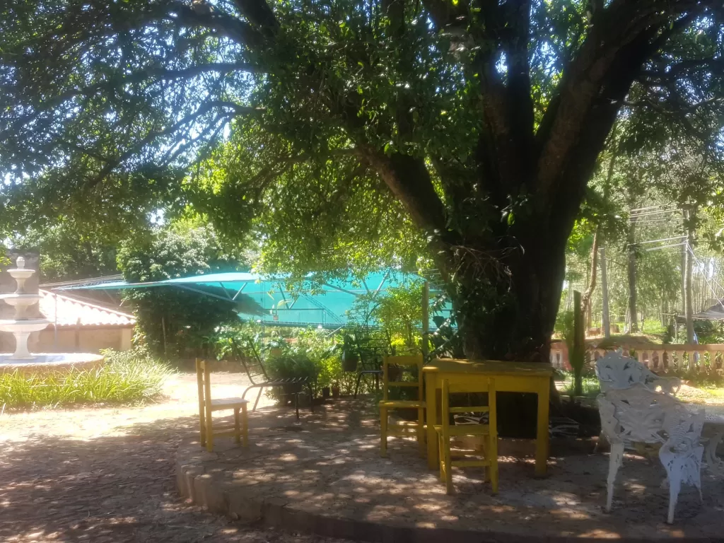 Vendo Lujosa Quinta en Cordillera, Caacupé-Cabañas. — foto 3