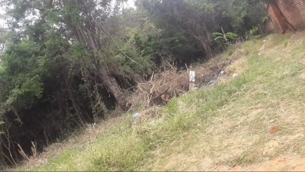 VENDO HERMOSO TERRENO EN MARIANO ROQUE ALONSO — foto 2