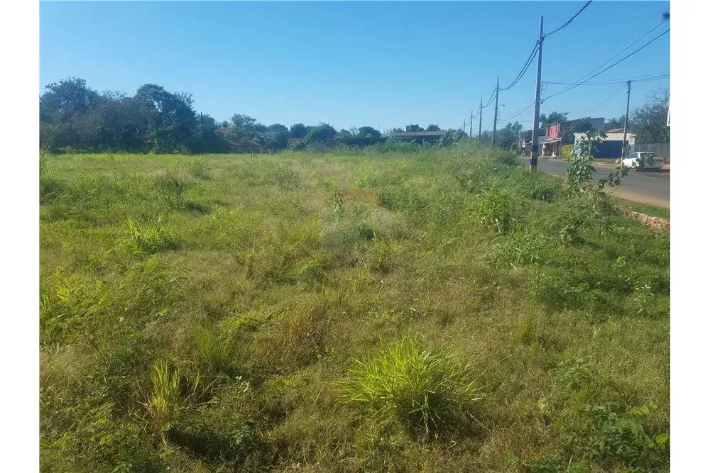 VENDO TERRENO DE 2 HECTAREAS EN LUQUE — foto 2