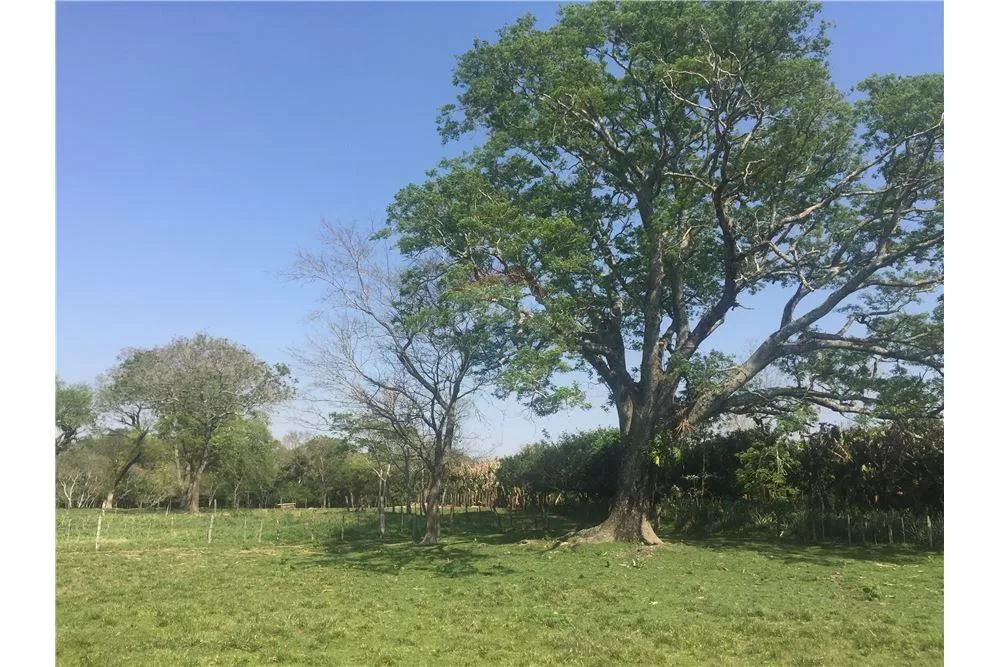 Exclusivo Campo con todas sus instalaciones 715,000 USD Paraguay Itapúa — foto 2