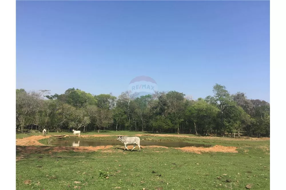 Exclusivo Campo con todas sus instalaciones 715,000 USD Paraguay Itapúa — foto 3