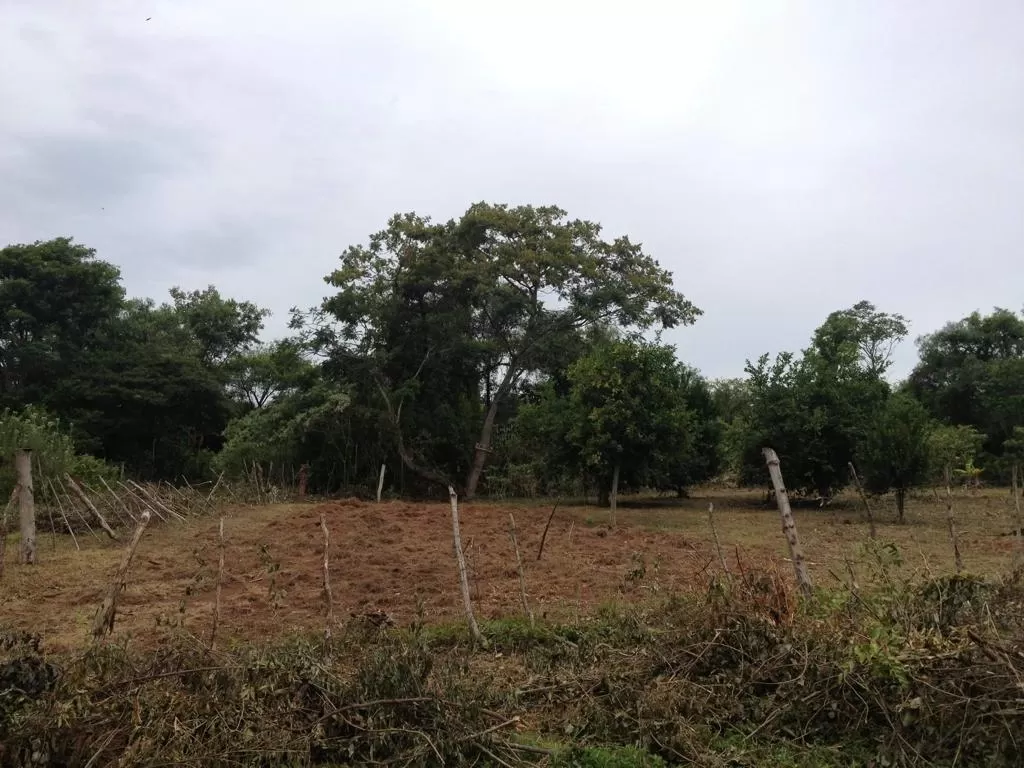 HEMOSOS TERRENOS EN ALTOS — foto 2