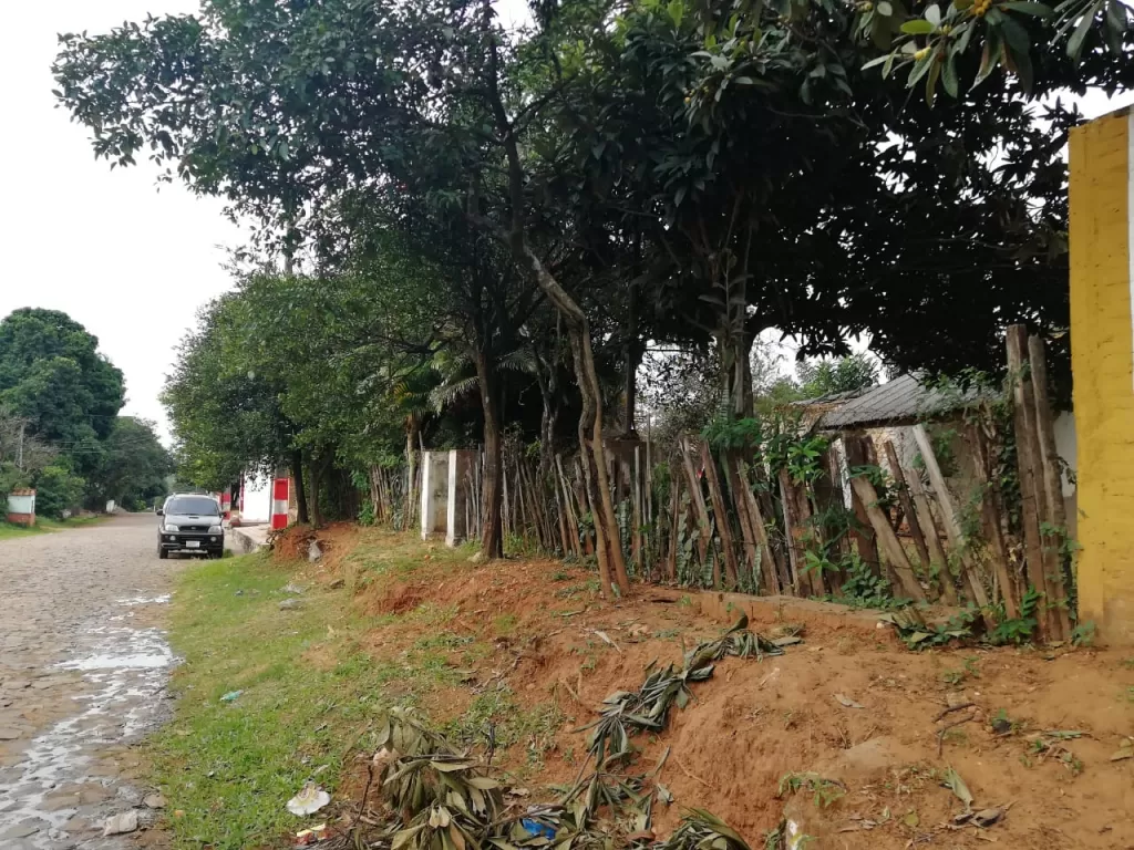 Terreno en hermoso terreno en Luque — foto 2