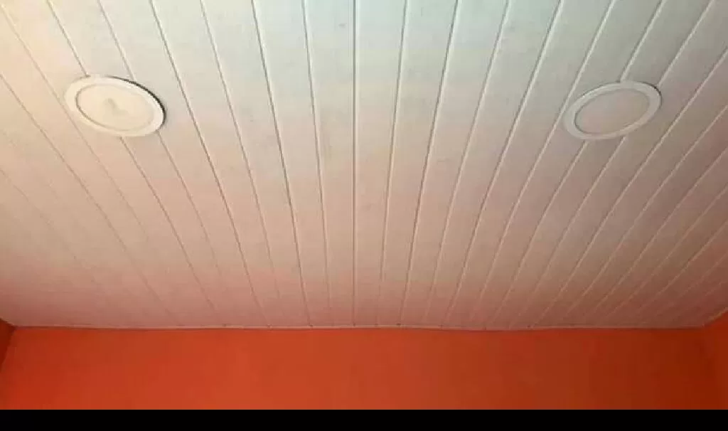 Cieloraso de pvc — foto 3