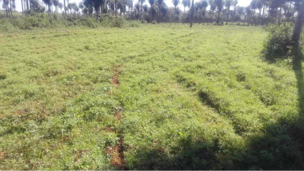 VENDO TERRENO EN ITAGUA — foto 2