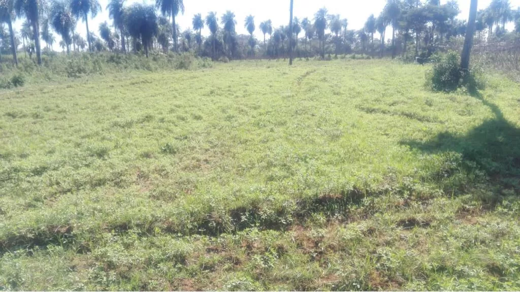 VENDO TERRENO EN ITAGUA — foto 3