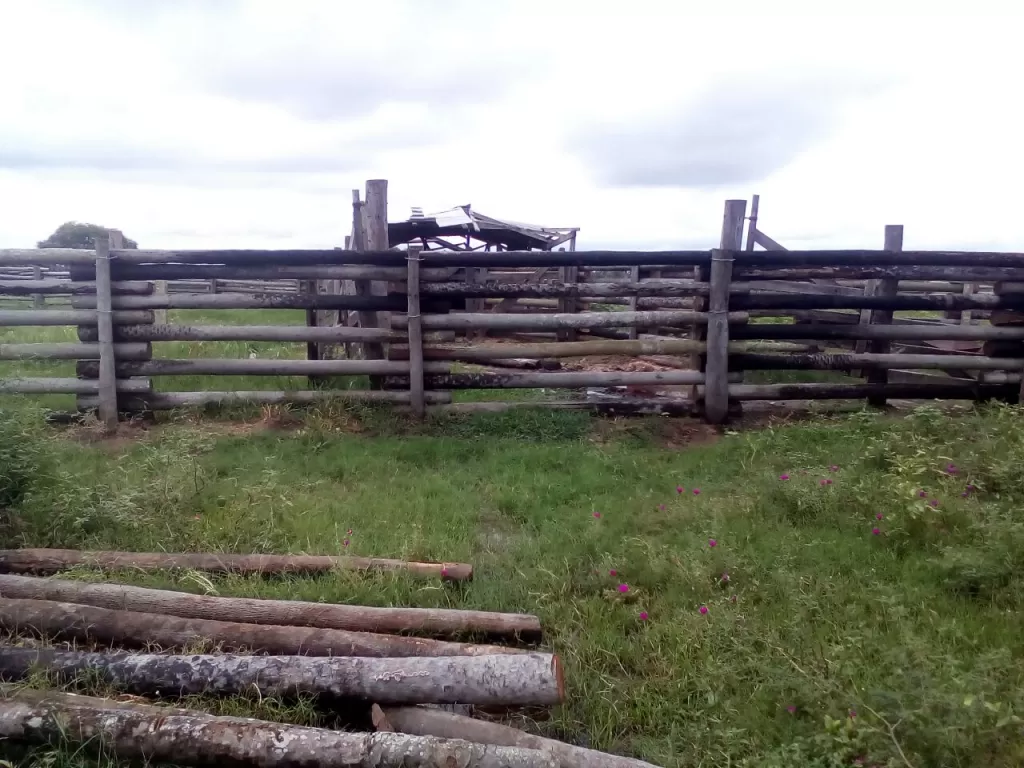 CHACO SOBRE RUTA ASFALTADA ANTES DE POZO COLORADO 3600 HAS MUY BIEN FORMADA — foto 3