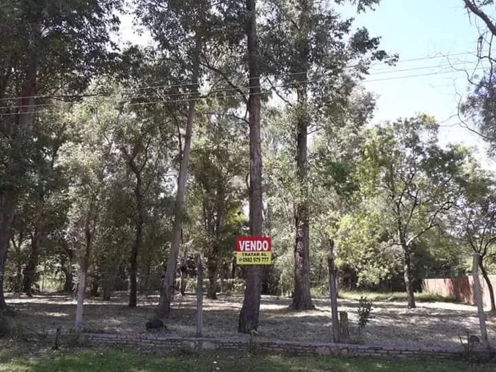 Vendo terrenos en Sanber, 2 lotes juntos. — foto 2