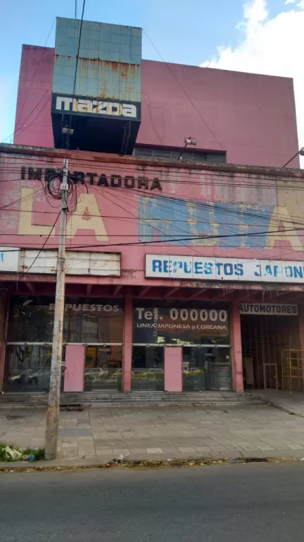 VENDO PROPIEDAD SOBRE AVDA. EUSEBIO AYALA — foto 3