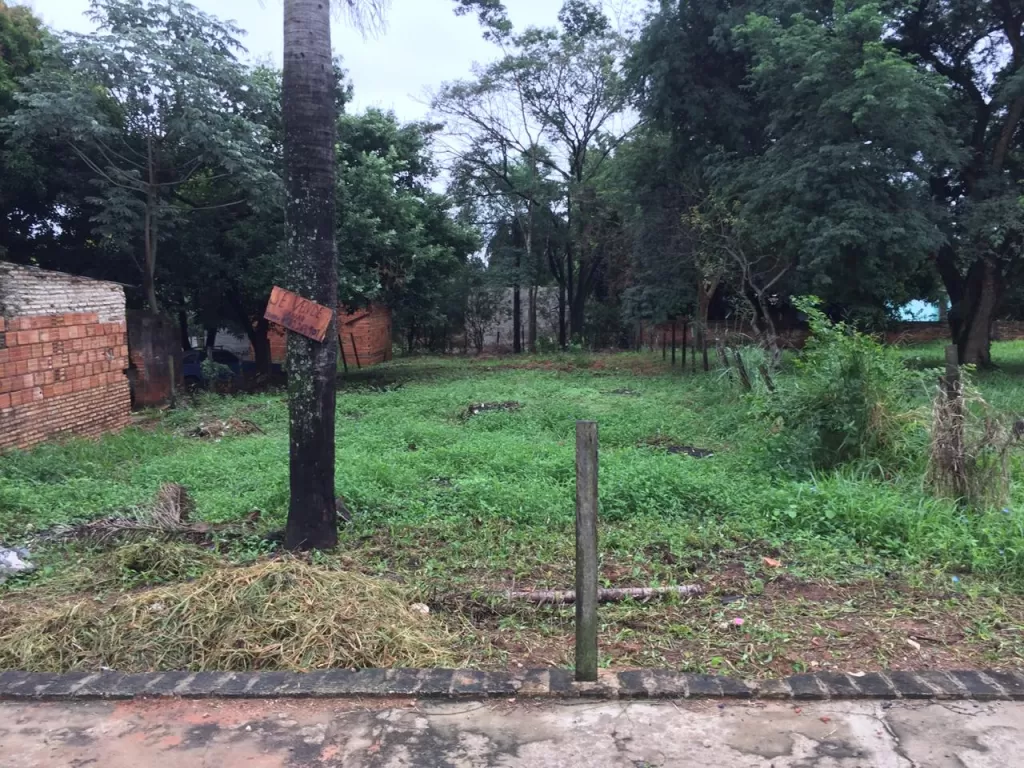 TERRENO EN ÑEMBY - Superficie 440 mts2 - (11x40 Metros Cuadrados) — foto 3