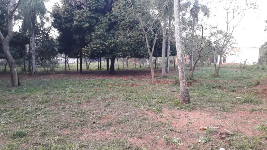 TERRENO EN LUQUE OFERTA!! — foto 2