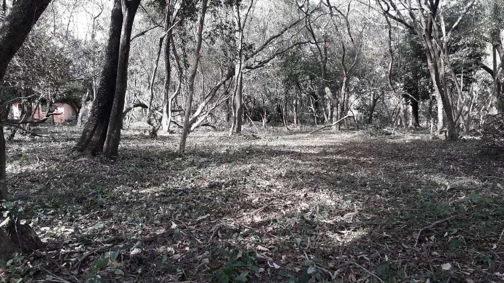 Terreno en San Bernardino Sanber — foto 2