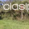 Lote en Luque zona Ita Angua — foto 2