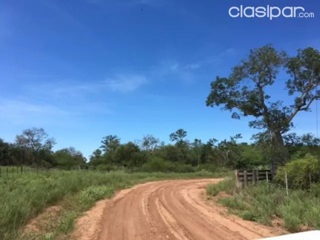 AGUA DULCE LAGERENZA CHACO 4.000 HAS 100 MONTE ALTO Y