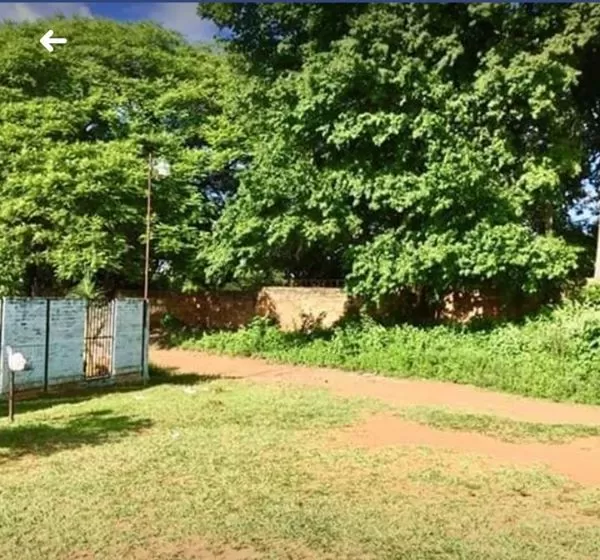 VENDO TERRENO EN VILLA ELISA MBOCAYATY 420M2 — foto 3