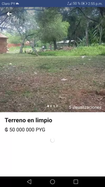 Terreno en limpio — foto 2