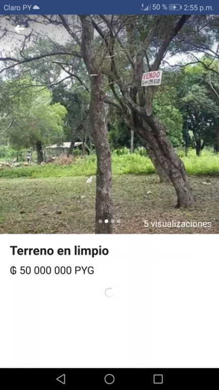 Terreno en limpio — foto 3