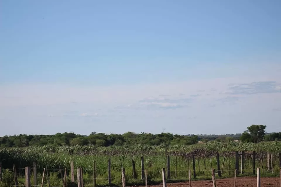 NVA. COLOMBIA, CORDILLLERA, OFERTAZA!!: MARAVILLOSA GRANJA, 12 HAS IDEAL P ENGORDE. — foto 3