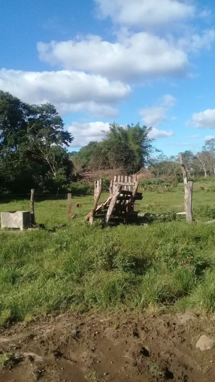 Oferta de propiedad de 22 has..zona San Joaquín — foto 3