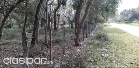 VENDO TERRENO EN SAN BERNARDINO DE 1.800m2 EN ZONA COPACO — foto 2