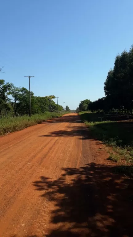 Vendo propiedad de 25 hectareas en Caaguazu — foto 2
