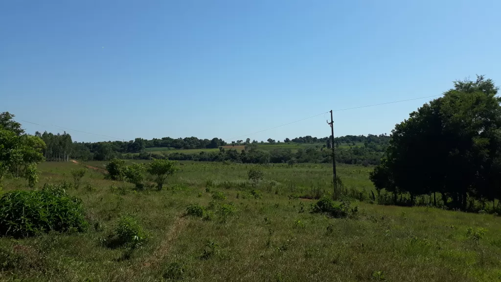 Vendo propiedad de 25 hectareas en Caaguazu — foto 3