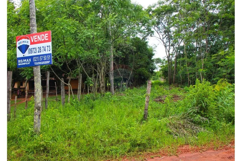 Vendo 5 hectáreas en Aguaity-Cordillera — foto 2
