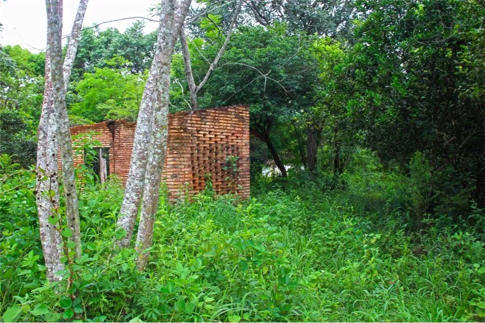 Vendo 5 hectáreas en Aguaity-Cordillera — foto 3