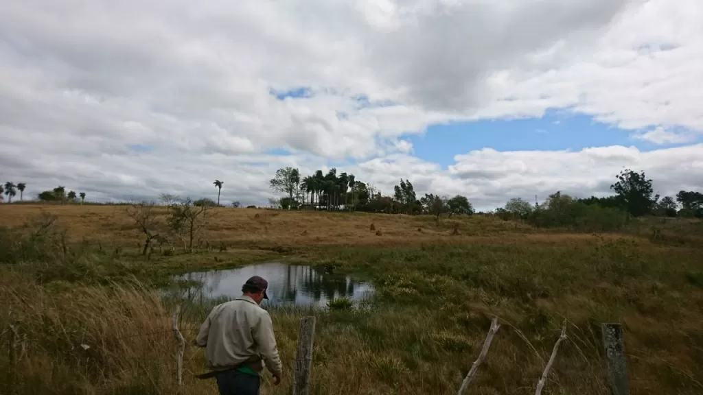 VENDO TERRENO DE 110 HECTAREAS EN YHU - CAAGUAZU — foto 2