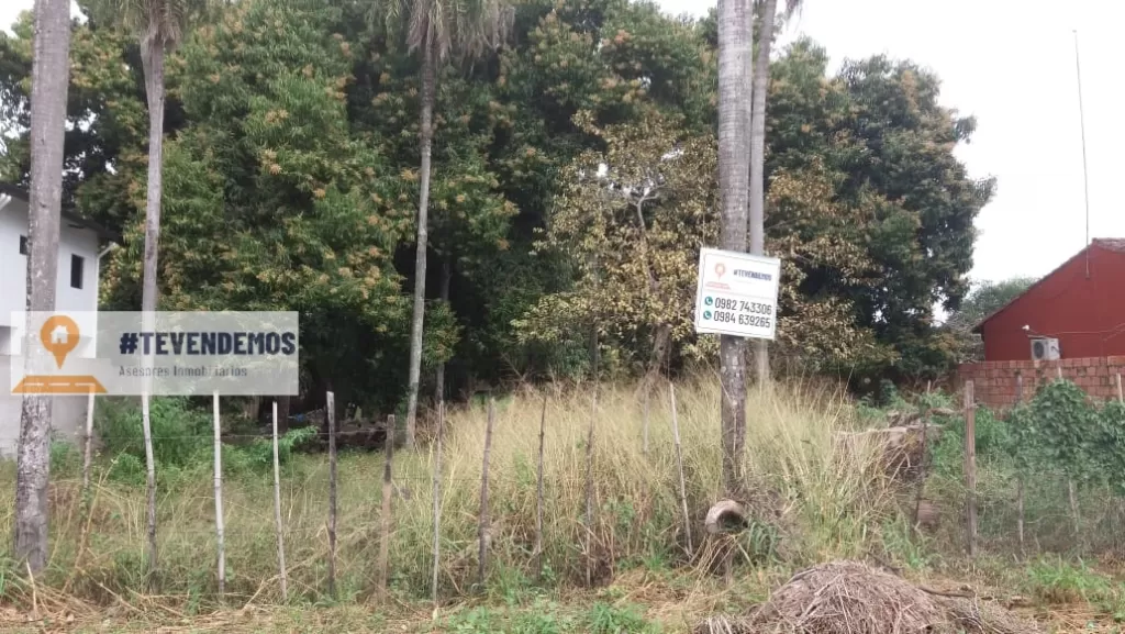 Vendo Hermoso terreno en la ciudad de San Antonio, excelente ubicacion — foto 2