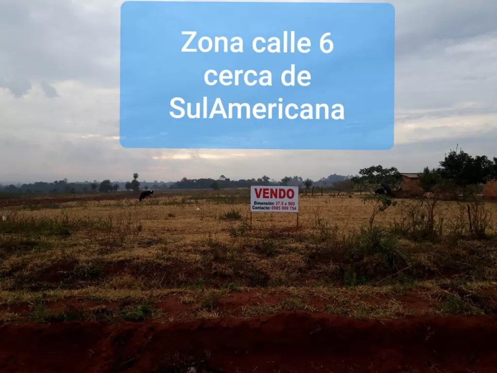 Vendo 3 Terrenos en Campo 9 — foto 3