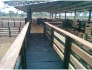 Empresa de construcción de Corrales para ganado.