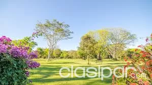 VENDO PARCELA EN PARQUE SERENIDAD DE VILLA ELISA — foto 2