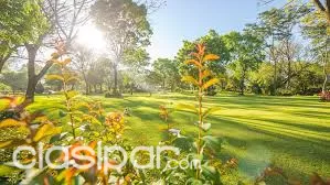 VENDO PARCELA EN PARQUE SERENIDAD DE VILLA ELISA — foto 3