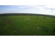 Vendo campo en la zona Pirizal,Boqueron 2,500,000,000 ₲