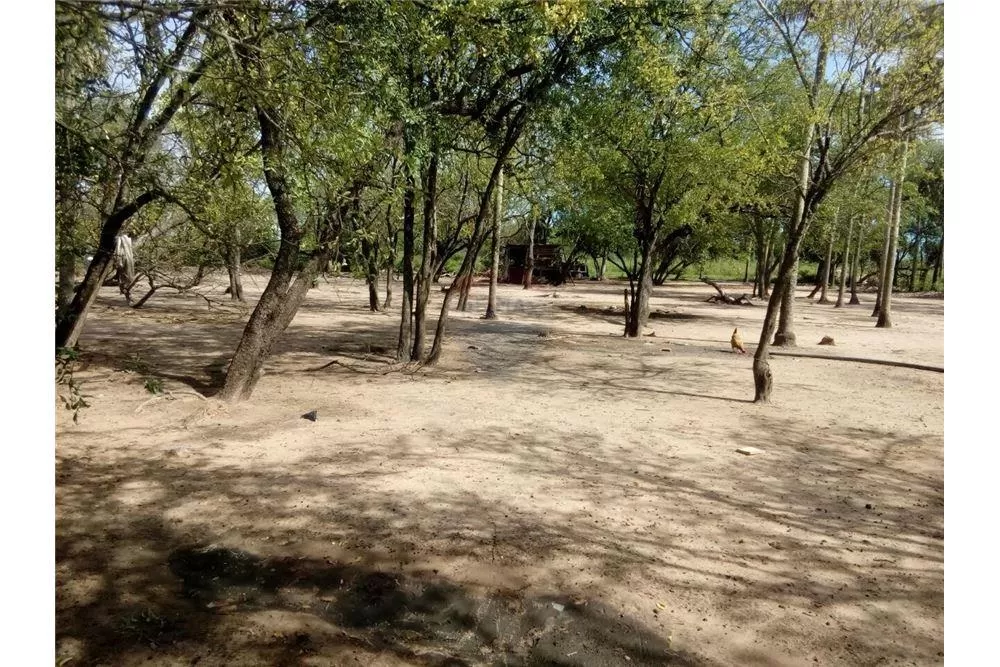 Campo de 4.120 Has. en Pozo Colorado 4,326,000 USD — foto 2
