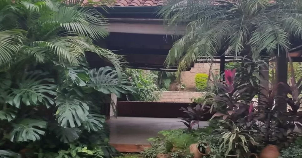 UBICACIÓN PERFECTA PARA INVERTIR EN EL CENTRO DE LUQUE — foto 3