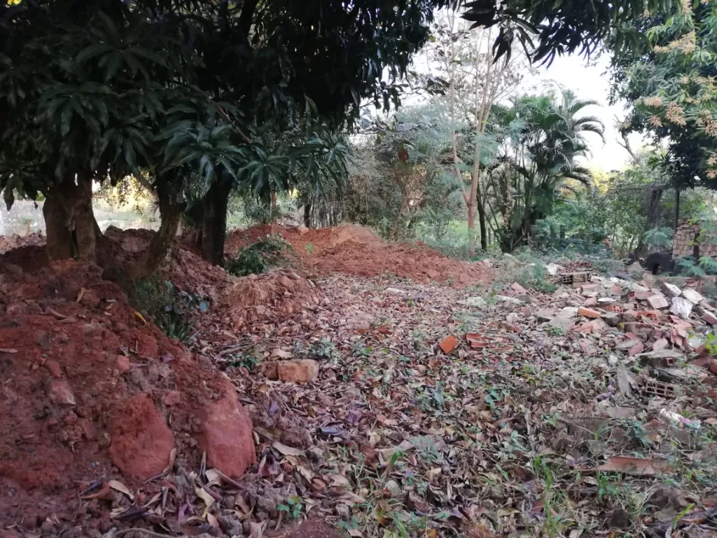 VENDO URGENTE HERMOSO TERRENO — foto 2