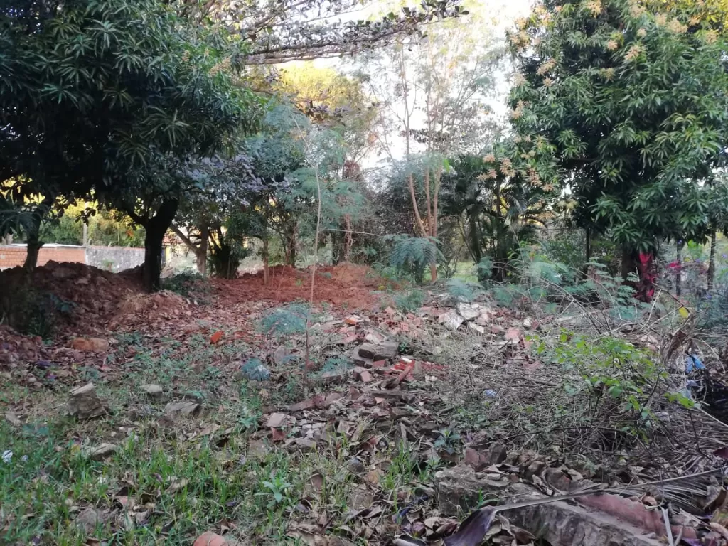 VENDO URGENTE HERMOSO TERRENO — foto 3