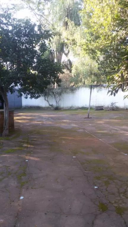 VENDO TERRENO A 600 MTS DE EUSEBIO AYALA — foto 3