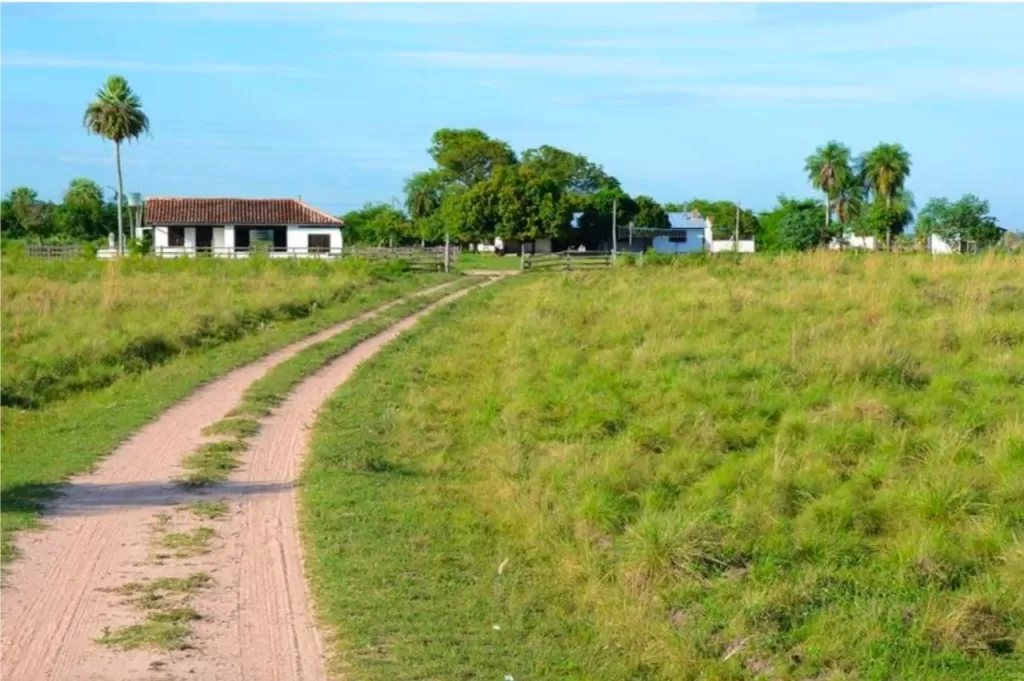 Campo funcionando 5.011has 26 km de puente remanso — foto 2